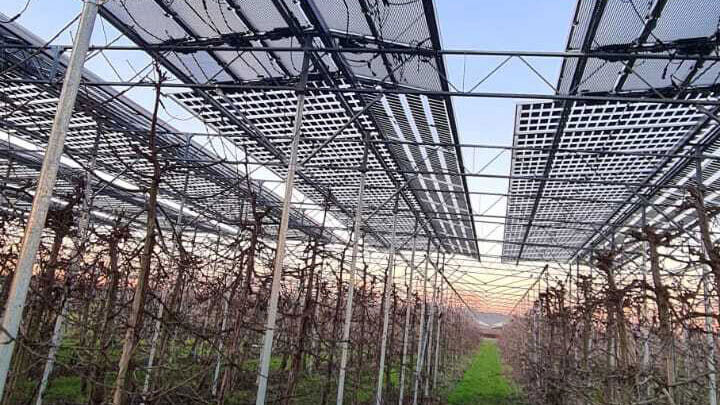 Agrivoltaic installation in Enspijk, Netherlands