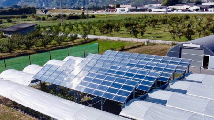 agrivoltaic installation-solar panels replace plastic tunnels