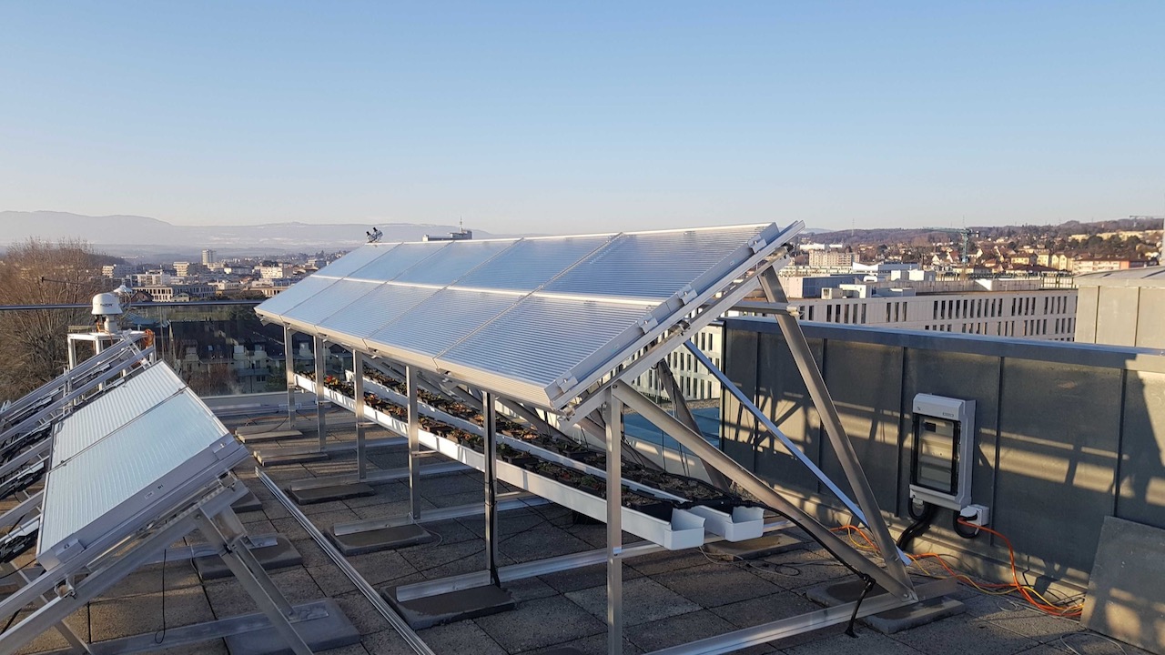 vegetalised rooftop-strawberries-solar installation