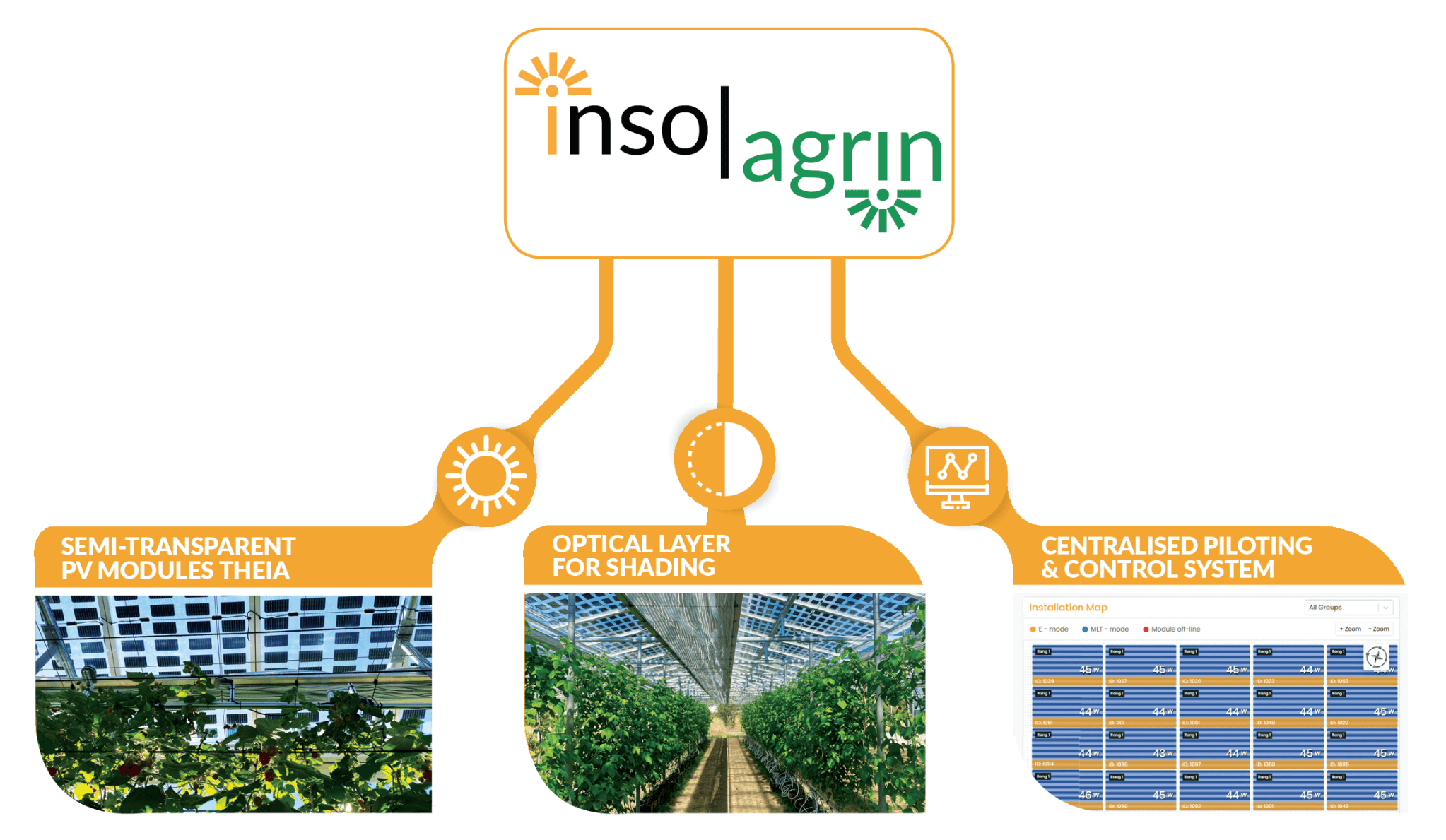 insolagrin dynamic solution three components 