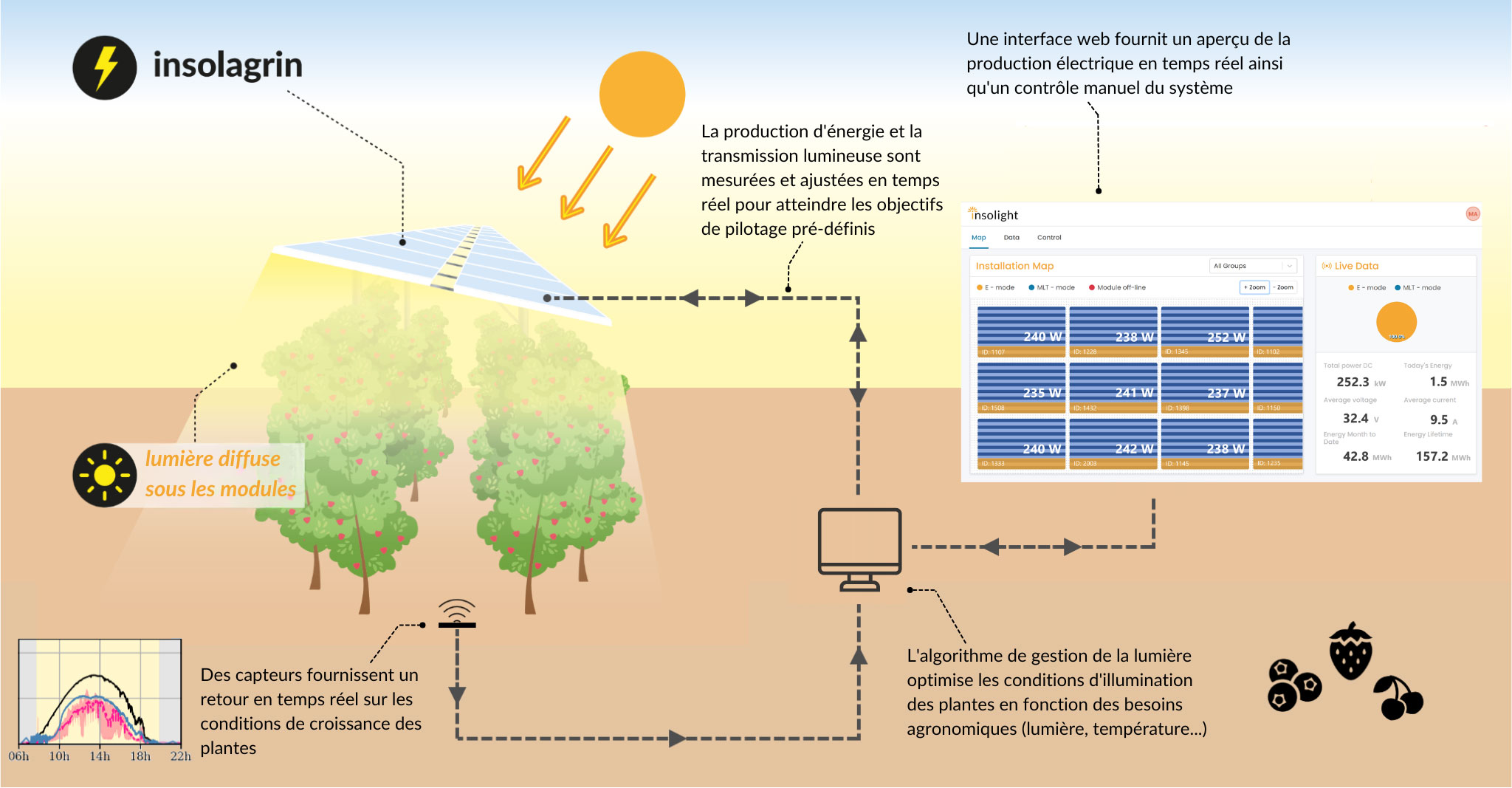 insolagrin-Système agrivoltaïque-comment ça marche-infographie