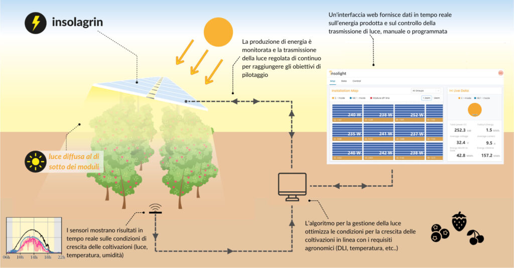 insolagrin-agrivoltaic-solution-how it works infographic