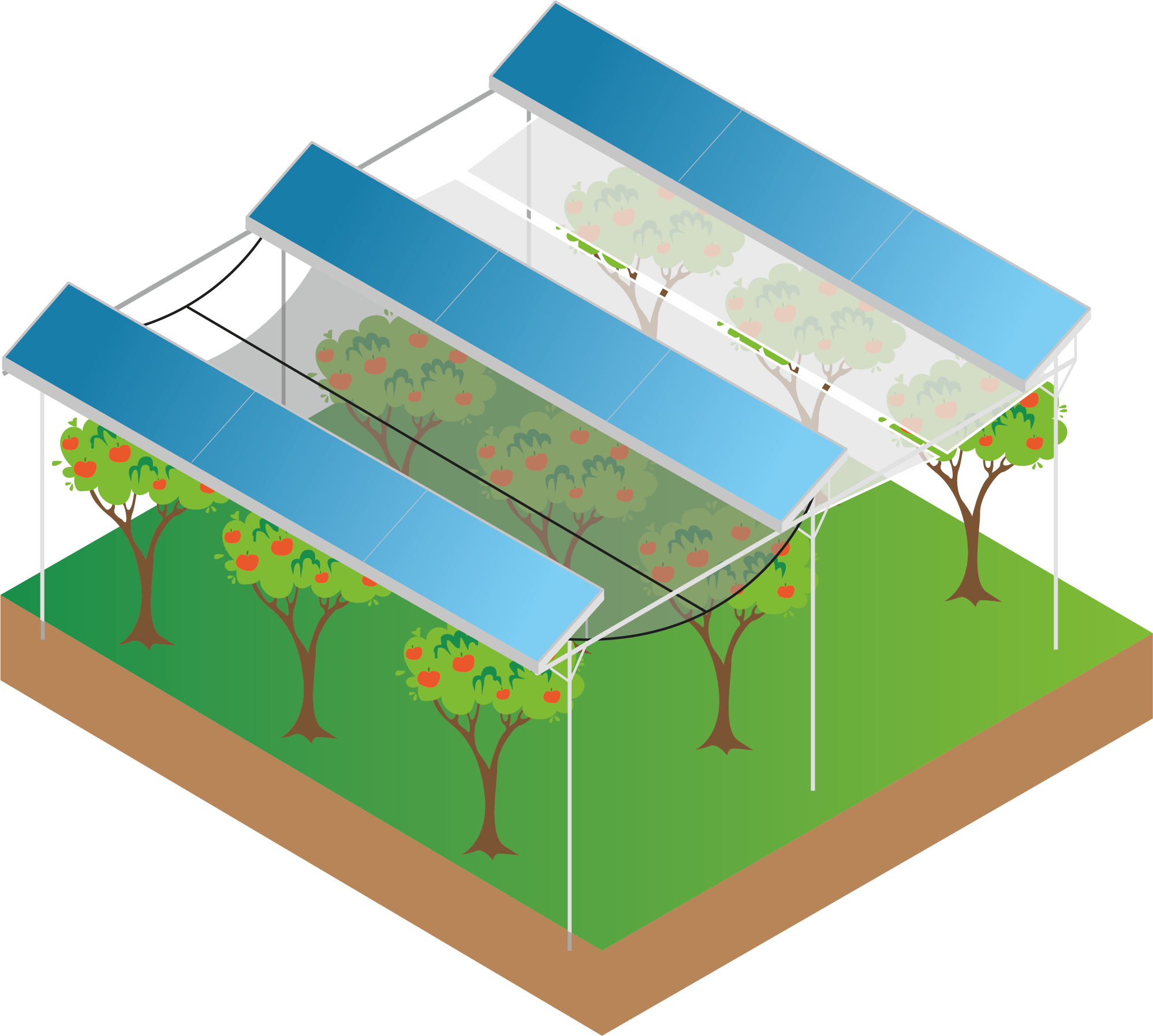 Solution for Orchards
