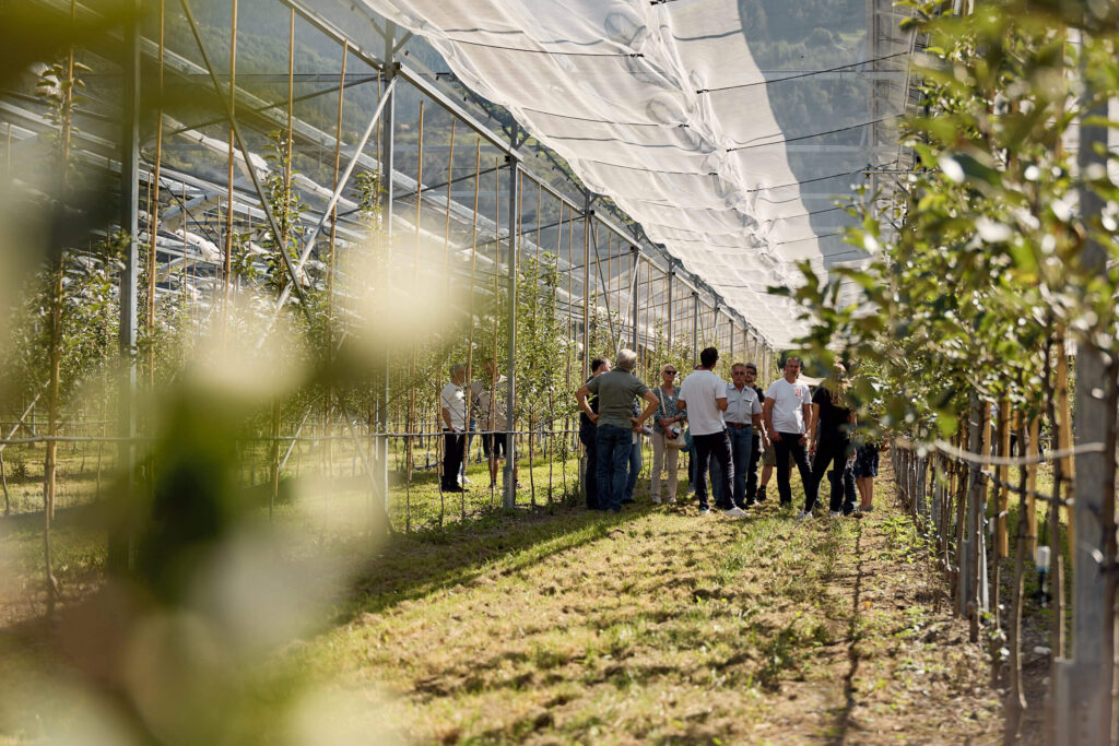 AgriPV on orchards