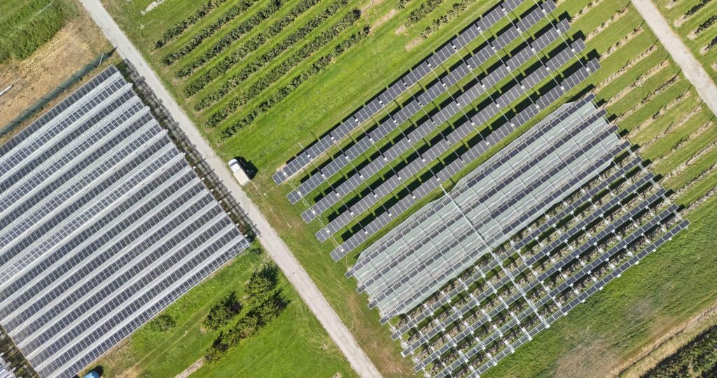 Top view of Insolight agrivoltaics installations over an orchard and berry production – 2025