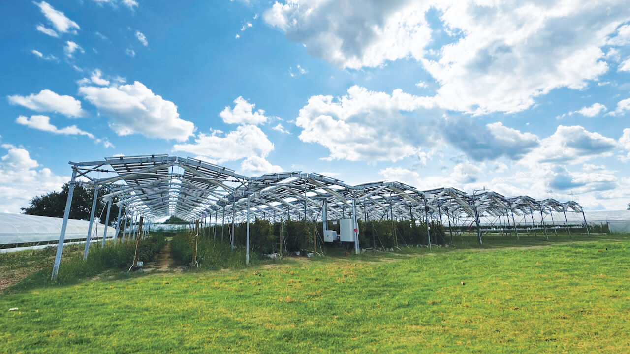 Agrivoltaic solar panels installed over raspberry crops under a blue sky with scattered clouds