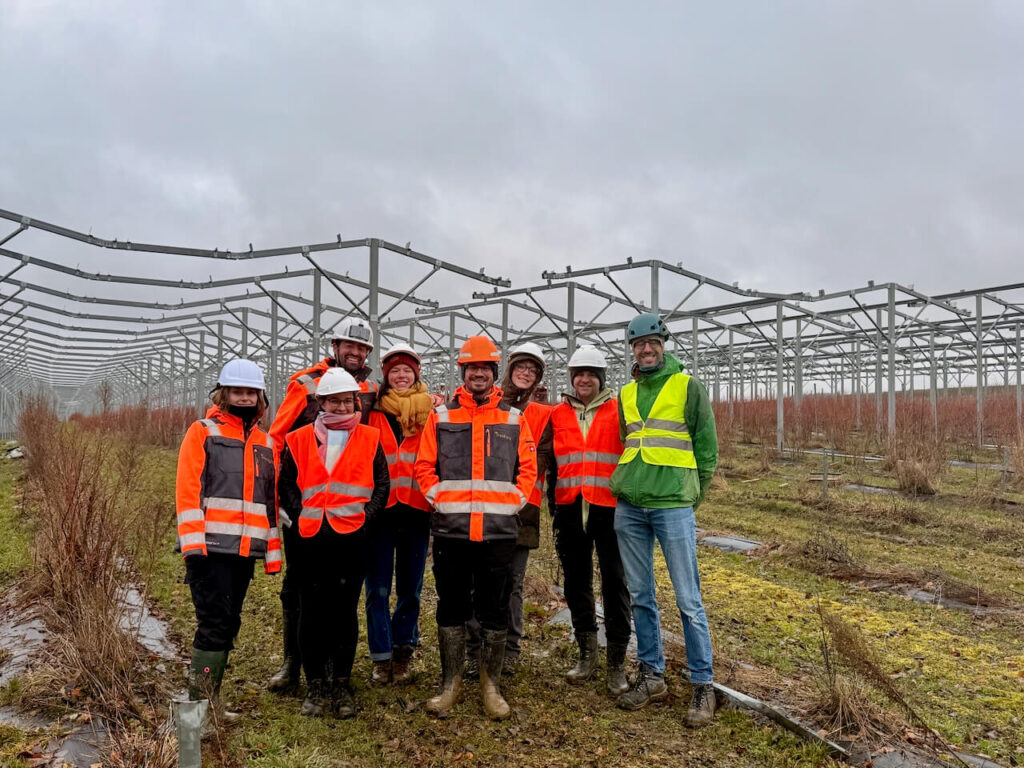 A group of workers wearing safety gear standing on an agrivoltaic construction site in Canton Vaud.